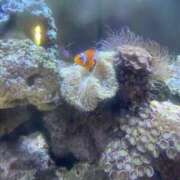 ヒメ日記 2025/08/25 08:02 投稿 せな SOAPLAND LOVE FACTORY