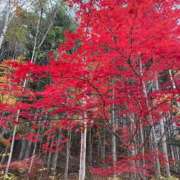 ヒメ日記 2025/08/25 17:32 投稿 せな SOAPLAND LOVE FACTORY