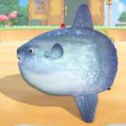 ヒメ日記 2025/12/20 20:22 投稿 せな SOAPLAND LOVE FACTORY