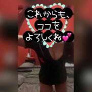 ヒメ日記 2025/07/12 17:37 投稿 ココ ドMな奥様 名古屋・錦店