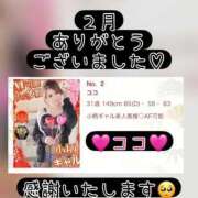 ヒメ日記 2026/03/03 23:47 投稿 ココ ドMな奥様 名古屋・錦店