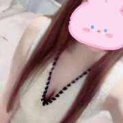 ヒメ日記 2025/06/17 06:11 投稿 ここあ The White