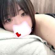 ヒメ日記 2025/12/15 16:48 投稿 エル ツートップ