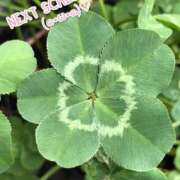 ヒメ日記 2025/07/05 10:46 投稿 るい奥様 人妻倶楽部　日本橋店