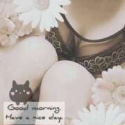 ヒメ日記 2025/09/25 11:26 投稿 るい奥様 人妻倶楽部　日本橋店