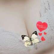 ヒメ日記 2026/01/24 09:46 投稿 るい奥様 人妻倶楽部　日本橋店