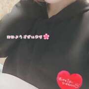 ヒメ日記 2026/04/02 09:46 投稿 るい奥様 人妻倶楽部　日本橋店