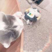 ヒメ日記 2026/04/04 15:45 投稿 Keika THE RICH