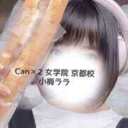 ヒメ日記 2025/08/04 11:47 投稿 小梅 ララ Canx2京都店