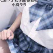 ヒメ日記 2025/08/05 18:27 投稿 小梅 ララ Canx2京都店