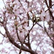 水野みき 雨の日☔️ ミセスの癒しエステ