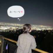 ヒメ日記 2025/11/24 11:40 投稿 みなも 電車ごっこ