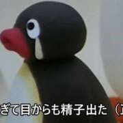 ヒメ日記 2025/11/24 20:20 投稿 みなも 電車ごっこ