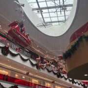 ヒメ日記 2025/11/29 23:50 投稿 みなも 電車ごっこ