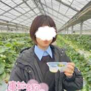 ヒメ日記 2025/11/30 11:53 投稿 みなも 電車ごっこ