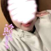 ヒメ日記 2026/01/12 11:40 投稿 みなも 電車ごっこ