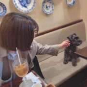 ヒメ日記 2026/02/15 12:08 投稿 みなも 電車ごっこ