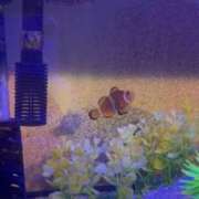 ヒメ日記 2025/06/23 23:27 投稿 ふうか アドミsince2002立川デリヘル&Go To FANTASY東京本店