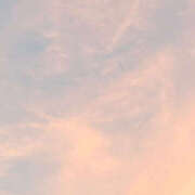 ふうか 本指名mさんへ❤︎ アドミsince2002立川デリヘル&Go To FANTASY東京本店