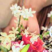 ヒメ日記 2025/06/24 20:05 投稿 ななか 奥様鉄道69 東京店