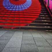 ヒメ日記 2025/06/25 17:25 投稿 ななか 奥様鉄道69 東京店