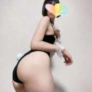 ヒメ日記 2025/11/16 12:12 投稿 佐藤なずな ウルトラロイヤル