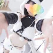 ヒメ日記 2025/12/11 17:10 投稿 佐藤なずな ウルトラロイヤル