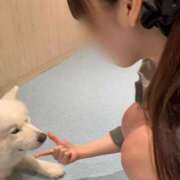 ヒメ日記 2026/10/12 22:03 投稿 みおり CECIL