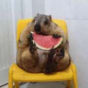 ヒメ日記 2025/09/06 15:14 投稿 花遊（かゆう） 丸妻 錦糸町店