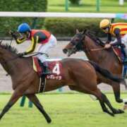 ヒメ日記 2025/09/21 16:13 投稿 花遊（かゆう） 丸妻 錦糸町店