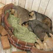 ヒメ日記 2025/10/18 21:57 投稿 花遊（かゆう） 丸妻 錦糸町店