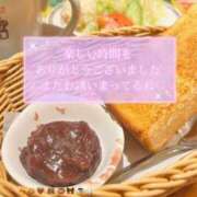 ヒメ日記 2025/11/01 09:36 投稿 黒宮芽愛 五十路マダムエクスプレス横浜店（カサブランカグループ）