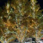 黒宮芽愛 厄落しするぞ 五十路マダムエクスプレス横浜店（カサブランカグループ）