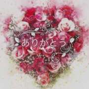 ヒメ日記 2026/04/25 11:28 投稿 黒宮芽愛 五十路マダムエクスプレス横浜店（カサブランカグループ）