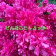 ヒメ日記 2026/05/12 13:36 投稿 黒宮芽愛 五十路マダムエクスプレス横浜店（カサブランカグループ）
