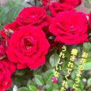 ヒメ日記 2026/07/04 10:48 投稿 黒宮芽愛 五十路マダムエクスプレス横浜店（カサブランカグループ）