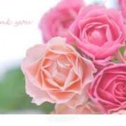 ヒメ日記 2026/08/01 23:44 投稿 黒宮芽愛 五十路マダムエクスプレス横浜店（カサブランカグループ）