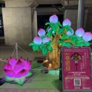 ヒメ日記 2026/02/05 20:32 投稿 まよい 横浜ミセスアロマ（ユメオト）