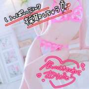 ヒメ日記 2025/11/29 05:00 投稿 らぶ abc＋