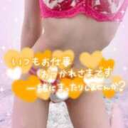 ヒメ日記 2026/01/23 17:57 投稿 らぶ abc＋