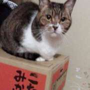 ヒメ日記 2025/06/14 02:26 投稿 原 熟女の風俗最終章　鶯谷店