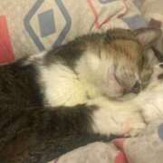 ヒメ日記 2025/06/14 23:34 投稿 原 熟女の風俗最終章　鶯谷店