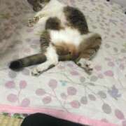 ヒメ日記 2025/06/16 01:16 投稿 原 熟女の風俗最終章　鶯谷店