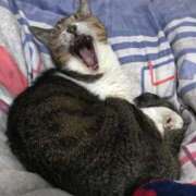 ヒメ日記 2025/06/21 18:46 投稿 原 熟女の風俗最終章　鶯谷店