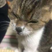 ヒメ日記 2025/06/29 17:46 投稿 原 熟女の風俗最終章　鶯谷店