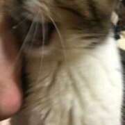 原 10月(笑) 熟女の風俗最終章　鶯谷店