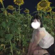 ヒメ日記 2025/08/12 15:16 投稿 ねむ 西川口コスプレメイド学園（シンデレラグループ）