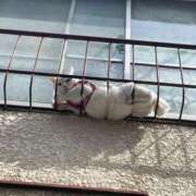 ヒメ日記 2025/06/15 18:51 投稿 寺西 熟女の風俗最終章　鶯谷店