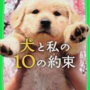 ヒメ日記 2025/10/27 00:37 投稿 なつき 虹色メロンパイ 横浜店