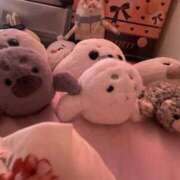 ヒメ日記 2025/07/02 11:25 投稿 るな SOAPLAND LOVE FACTORY